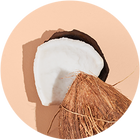 
Coconut